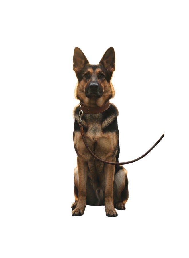 1 طوق وسلسلة للكلاب مصنوعين من جلد عالي الجودة بتصميم أنيق وقوي بلون البني والاسود - Image 1